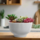 Bonsai Pot with Drainage & Tray