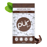 PUR Gum | Aspartame Free Chewing Gum | 100% Xylitol | Natural Spearmint Flavored Gum, 55 Pieces (Pack of 3)