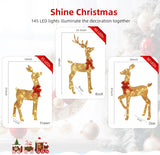 3-Piece 2D Lighted Christmas Deer Family Set - HOYECHI Large Outdoor Yard Reindeer Holiday Decoration with 145 LED Lights, Stakes, Zip Ties - Gold