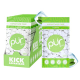 PUR Gum | Aspartame Free Chewing Gum | 100% Xylitol | Natural Spearmint Flavored Gum, 55 Pieces (Pack of 3)