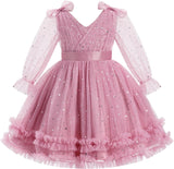 IMEKIS Toddler Kids Girls Tulle Dress Floral Embroidery Sparkly Wedding Party Long Sleeve Fall Photo Shoot Outfit 2-8T