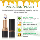 4 Pack Aloe Vera Lipstick,Long Wear Nourishing Lip stick,Waterproof Moisturizing Color Changing Lip Balm Lipstick,Lip Gloss,Magic Temp Color Change Matte Lip Gloss Makeup