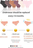 Sth Big High Waisted Seamless Underwear for Women No Show Panties Cheeky Scalloped Edge Bikini Breathable Briefs 6 Pack