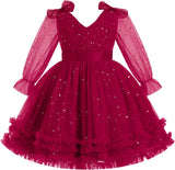 IMEKIS Toddler Kids Girls Tulle Dress Floral Embroidery Sparkly Wedding Party Long Sleeve Fall Photo Shoot Outfit 2-8T
