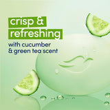 Dove Beauty Bar Soap Cool Moisture Cucumber & Green Tea Scent, 6 Bars for Refreshed Skin, Leaves Skin Refreshed 3.75 oz