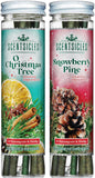 Scentsicles White Winter Fir Scented Christmas Tree Ornaments - 2 Bottles (12 Sticks Total)