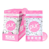 PUR Gum | Aspartame Free Chewing Gum | 100% Xylitol | Natural Spearmint Flavored Gum, 55 Pieces (Pack of 3)