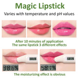 4 Pack Aloe Vera Lipstick,Long Wear Nourishing Lip stick,Waterproof Moisturizing Color Changing Lip Balm Lipstick,Lip Gloss,Magic Temp Color Change Matte Lip Gloss Makeup