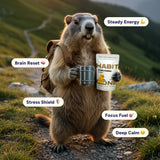 Instant Mushroom Coffee Arabica - Lion’s Mane, Cordyceps, Reishi, Chaga – Alpha-GPC & L-Tyrosine, B12 & B3 – Better Energy, Focus, Digestion & Immunity – Made in USA – 30 Servings