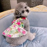 Cotton Ultra-thin Fashion Teddy Hair Bucket Universal Lady's Ultra-thin Princess Cat And Dog Skirt
