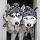 Pet dog autumn and winter woolen hat