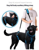 Pet Supplies Dog Auxiliary Strap