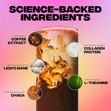 Everyday Dose Premium Adaptogenic Mushroom Coffee with Grass-Fed Collagen, Chaga, Lions Mane & L-Theanine for Better Focus, Energy, Digestion, Skin, and Immunity 30 Servings