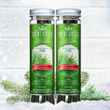 Scentsicles White Winter Fir Scented Christmas Tree Ornaments - 2 Bottles (12 Sticks Total)