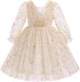 IMEKIS Toddler Kids Girls Tulle Dress Floral Embroidery Sparkly Wedding Party Long Sleeve Fall Photo Shoot Outfit 2-8T