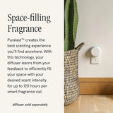 Pura & Guy Fox Home Scent Refill - Smart Air Diffuser - Up to 120-Hours of Luxury Fragrance per Refill - Home Essential - Clean & Safe Diffuser Fragrance - 2 Pack, SoHo