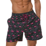 Printed Mens Fashionable Sports Beach Shorts