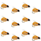 LaFontaine Amber Deep Sparkle Caddis Pupa - 1 Dozen Flies Hook Size 14
