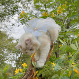 Layers Of Yarn Pet Leash Cat And Puppy Universal