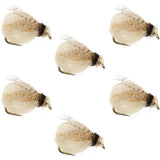 Bead Head LaFontaine Tan Deep Sparkle Caddis Pupa - 6 Flies Hook Size 14