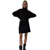 Long Sleeve Turtleneck Sweaters Dress