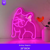 Acrylic Neon LED Decor For Kids Rooms