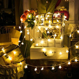 LED Star Light String Outdoor Holiday Decoration 3 M