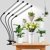 LED Grow Lights For Plants And Greenery