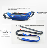 Dog collar without hands