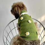 Autumn And Winter Warm And Comfortable Dog Sweater Clothes Pet Cat Clothing Flower Blossom Sweater Collection