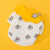 Cat pet clothes