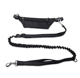 Dog collar without hands