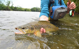 Dolly Llama Stinger Streamer Flies - 3 Natural and Salmon  Size 4