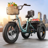 QRONGE 960W Peak Electric Bike For Adults 36V Battery Trike