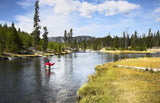 Basics Collection - Kaufmanns Black Stonefly Assortment - 10 Flies #4-12