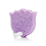 Provence Violette | Les Fleurs Body Buffer