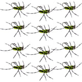 Pat's Rubber Legs Tungsten Jig Black/Chartreuse Euro Nymph 12 Flies Size 6