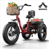 QRONGE 960W Peak Electric Bike For Adults 36V Battery Trike