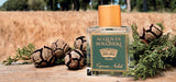 ACQUA DI BOLGHERI Cipresso Nobile Eau de Parfum 50 ml