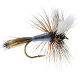 Basics Collection - Wulff Fly Assortment - 10 Flies - 5 Patterns - Sizes 10-14