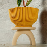 Arch Plant Stand