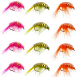 Beaded Shrimp Scud Assortment - 1 Dozen - Size 16 - Tailwater Lake Fly
