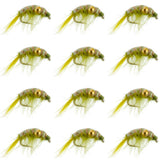 Olive Beaded Shrimp Scud Pattern - 1 Dozen Size 16 - Tailwater Lake Fly Fishing Nymph