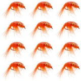 Orange Beaded Shrimp Scud Pattern - 1 Dozen Size 12 - Tailwater Lake Fly Fishing Nymph