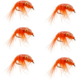 Orange Beaded Shrimp Scud - 6 Flies - Size 16 - Tailwater Lake Fly Fishing Nymph