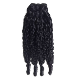 Booji Burmese Curly