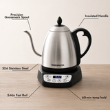 Classic 1.0L Gooseneck Electric Kettle