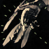 Generator - Anniversary Edition (Colored Vinyl, Green, Clear Vinyl) [Vinyl]