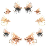 Basics Collection - Elk Hair Caddis Assortment - 10 Flies - Sizes 12-18