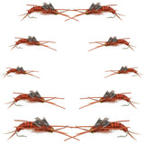 Basics Collection - Kaufmann's Brown Stonefly Kit 10 Flies #Sizes 6-12